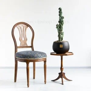 کاکتوس صخره ای سرئوس