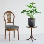 گلدان آپارتمانی برگ انجیری